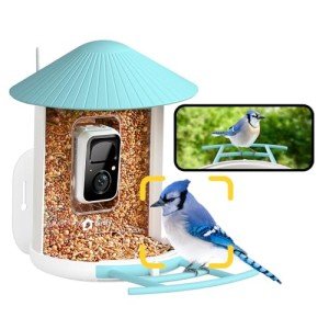 AI Bird Feeder with Camera - Identify 6000+ Species
