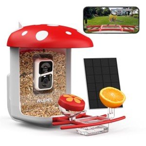 Smart Bird Feeder Camera with AI Species Identification