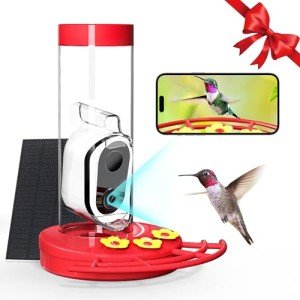 Solar-Powered Hummingbird Feeder with Camera & AI