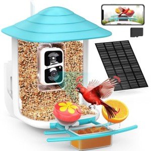 Birdsnap® TUC Bird Feeder with AI Camera 2K