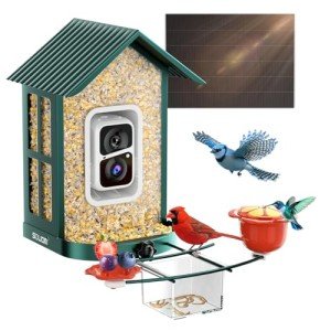 Soliom Solar-Powered 2K AI Bird Feeder Camera