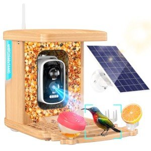 Solar-Powered Wooden Smart Bird Feeder with Camera