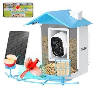 Smart Bird Feeder with Camera and AI Identification