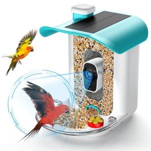 Smart Bird Feeder with Camera and AI Recognition