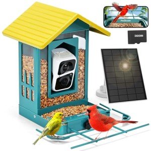 PeckCam® Solar Bird Feeder with Camera and Alerts