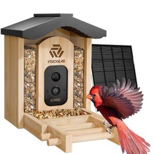 Smart Bird Feeder with Camera and Solar Panel