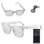 AI Smart Glasses with Real-Time Translation & Music