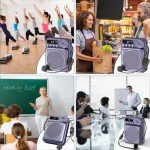 Purple Wireless Voice Amplifier with Dual Microphones