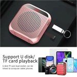 Rechargeable Voice Amplifier with Headset Microphone