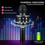 BlueFire 4-in-1 Wireless Karaoke Microphone for Kids