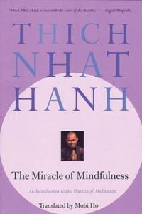 Mindfulness Magic: Your Guide to Meditation Practice