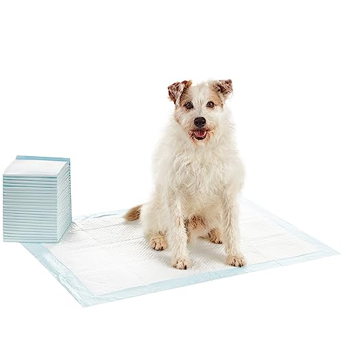 Amazon Basics Dog and Puppy Pee Pads with Leak-Proof Quick-Dry Design for Potty Training, Heavy Duty Absorbency, X-Large, 28 x 34 Inches - Pack of 25