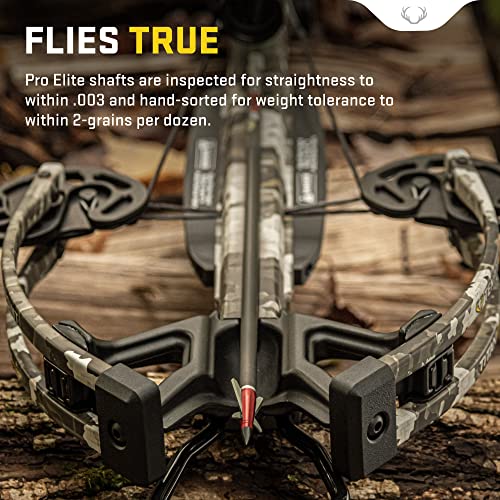 TenPoint Pro Elite 400 Alpha-Brite Lighted Carbon Crossbow Arrows 20" .003", 3 pack