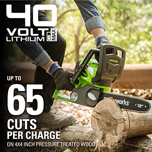 Greenworks 40V 12" Cordless Compact Chainsaw (Great For Storm Clean-Up, Pruning, and Camping), 2.0Ah Battery and Charger Included