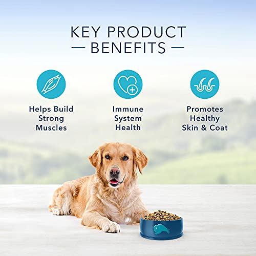 Blue Buffalo Life Protection Formula Natural Adult Dry Dog Food, Chicken and Brown Rice 6-lb