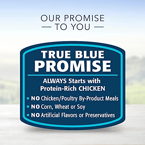 Blue Buffalo Life Protection Formula Natural Adult Dry Dog Food, Chicken and Brown Rice 6-lb