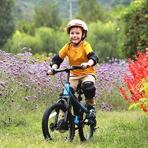 Segway Ninebot 18" Kids Bike Ages 5-10, w/ Aerospace Aluminum Frame, Enclosed Chain, Shock Absorbing Suspension, Disc Brakes and Kickstand - Blue