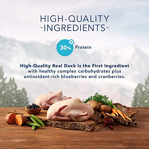 Blue Buffalo Wilderness High Protein Grain Free Natural Adult Dry Cat Food, Duck 2-lb