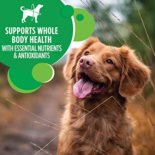 IAMS Adult Minichunks Small Kibble High Protein Dry Dog Food with Real Chicken, 7 lb. Bag