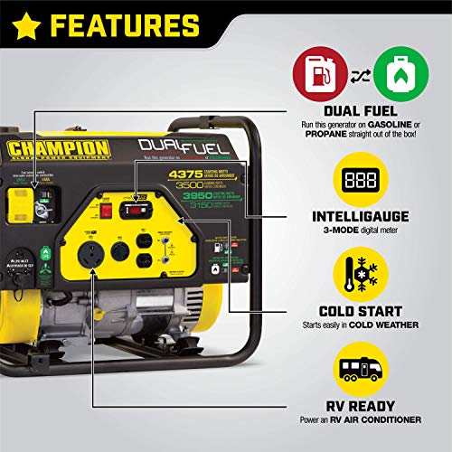 Champion Power Equipment 100307 4375/3500-Watt Dual Fuel RV Ready Portable Generator