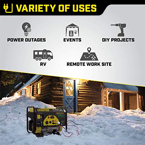 Champion Power Equipment 100307 4375/3500-Watt Dual Fuel RV Ready Portable Generator