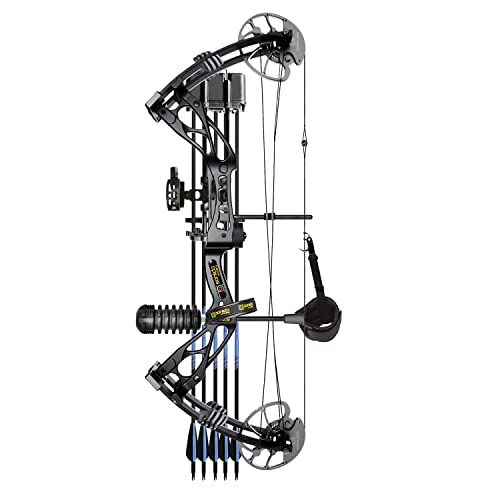 Sanlida Archery Dragon X8 RTH Compound Bow Package for Adults and Teens,18”-31” Draw Length,0-70 Lbs Draw Weight,up to IBO 310 fps,No Bow Press Needed,Limbs Made in USA,Limited Life-time Warranty