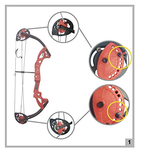 PANDARUS Compound Bow Archery for Youth and Beginner, Right Handed,19”-28” Draw Length,15-29 Lbs Draw Weight, 260 fps (Black Left Handed)