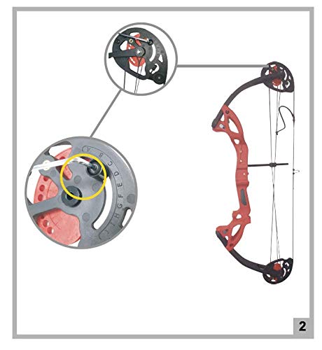 PANDARUS Compound Bow Archery for Youth and Beginner, Right Handed,19”-28” Draw Length,15-29 Lbs Draw Weight, 260 fps (Black Left Handed)