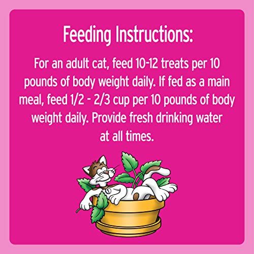 TEMPTATIONS Classic Crunchy and Soft Cat Treats Blissful Catnip Flavor, 16 Ounce (Pack of 1) Tub