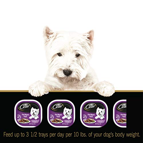 CESAR Soft Wet Dog Food Classic Loaf in Sauce Filet Mignon Flavor Multipack (24) 3.5 oz. Easy Peel Trays
