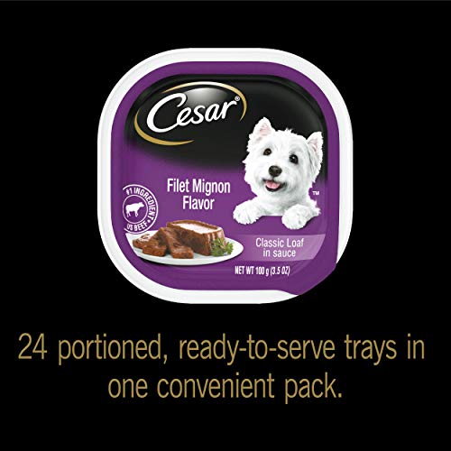 CESAR Soft Wet Dog Food Classic Loaf in Sauce Filet Mignon Flavor Multipack (24) 3.5 oz. Easy Peel Trays
