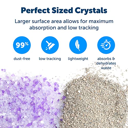 PetSafe ScoopFree Premium Crystal Cat Litter - 5x Better Odor Control Than Clay Litter - Less Tracking & Dust For A Fresh Home - Non-Clumping - Two 4.3 lb Bags Of Litter (8.6 lb Total) - Lavender