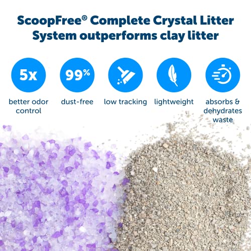 PetSafe ScoopFree Crystal Litter Tray Refills – Lavender Crystals, 3-Pack – Disposable Tray – Includes Leak Protection & Low Tracking Litter – Absorbs Odors on Contact