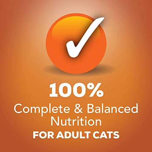 Purina Friskies Gravy Wet Cat Food Variety Pack, TurChicken Extra Gravy Chunky, Meaty Bits & Shreds - (40) 5.5 oz. Cans