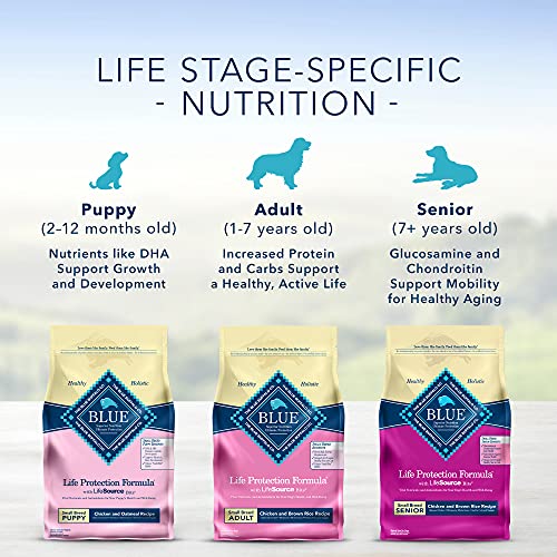 Blue Buffalo Life Protection Formula Natural Adult Small Breed Dry Dog Food, Chicken and Brown Rice 6-lb