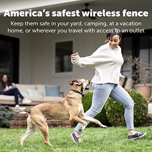 PetSafe Stay & Play Compact Wireless Pet Fence, LCD Screen to Adjust Circular Boundary, Secure up to 3/4 Acre Area, Use for All Your Pets, Portable System from the Parent Company of INVISIBLE FENCE