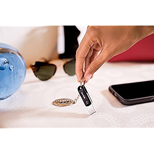 SanDisk 128GB iXpand Flash Drive Go for iPhone and iPad - SDIX60N-128G-GN6NE, Silver