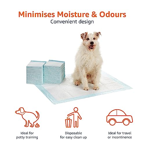 Amazon Basics Dog and Puppy Pads, Leak-proof 5-Layer Pee Pads with Quick-dry Surface for Potty Training, X-Large (28 x 34 Inches) - Pack of 40