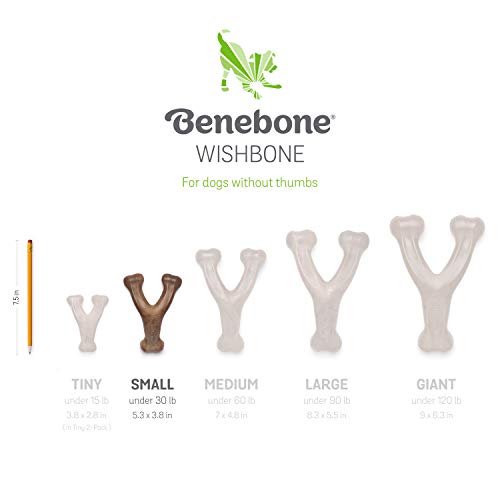 Benebone Wishbone Durable Dog Chew Toy for Aggressive Chewers, Made in USA, Small, Real Bacon Flavor