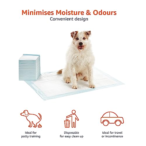 Amazon Basics Dog and Puppy Pee Pads with Leak-Proof Quick-Dry Design for Potty Training, Heavy Duty Absorbency, X-Large, 28 x 34 Inches - Pack of 25