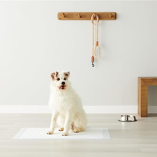 Amazon Basics Dog and Puppy Pee Pads with Leak-Proof Quick-Dry Design for Potty Training, Heavy Duty Absorbency, X-Large, 28 x 34 Inches - Pack of 25