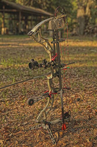 TRUGLO TG394BR Mini Bow Stand, Black/Red, 9X6X1 inches