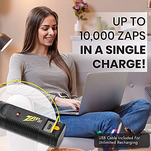 ZAP iT! Electric Fly Swatter Racket & Mosquito Zapper - High Duty 4,000 Volt Electric Bug Zapper Racket - Fly Killer USB Rechargeable Fly Zapper Indoor Safe - 2 Pack (Large, Yellow)