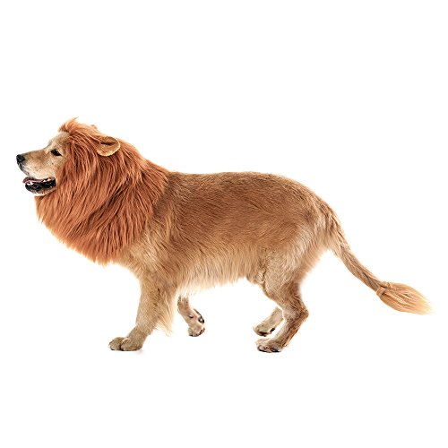 TOMSENN Dog Lion Mane - Realistic & Funny Lion Mane for Dogs - Complementary Lion Mane for Dog Costumes - Lion Wig for Medium to Large Sized Dogs Lion Mane Wig for Dogs