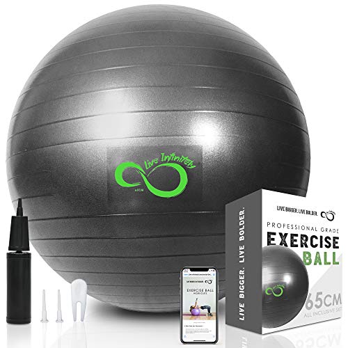 Exercise Ball (55cm-95cm) Extra Thick Professional Grade Balance & Stability Ball- Anti Burst Tested Supports 2200lbs- Includes Hand Pump & Workout Guide Access (Grey, 95 cm)