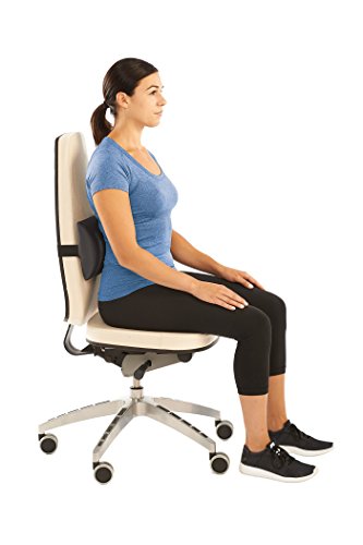 The Original McKenzie Slimline Lumbar Support by OPTP (705)