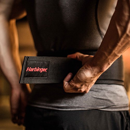 Harbinger 360890 4-Inch Nylon Weightlifting Belt, Medium,Black