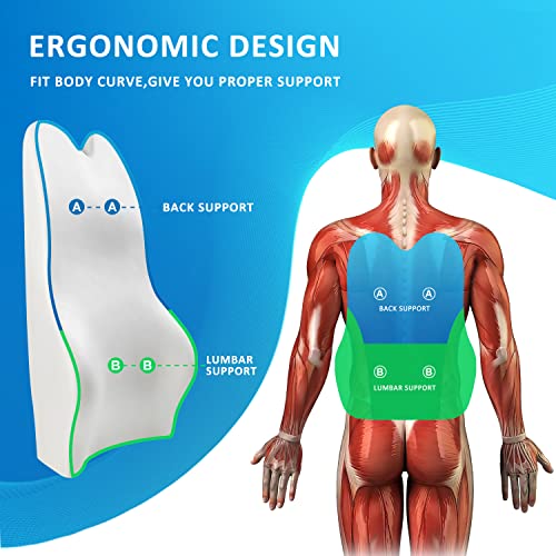 Lumbar Support Pillow for Car-Car Back Support-Memory Foam Car Lumbar Support for Driving Fatigue / Back Pain Relief - Dual Straps Better Fix The Car Cushion -Black