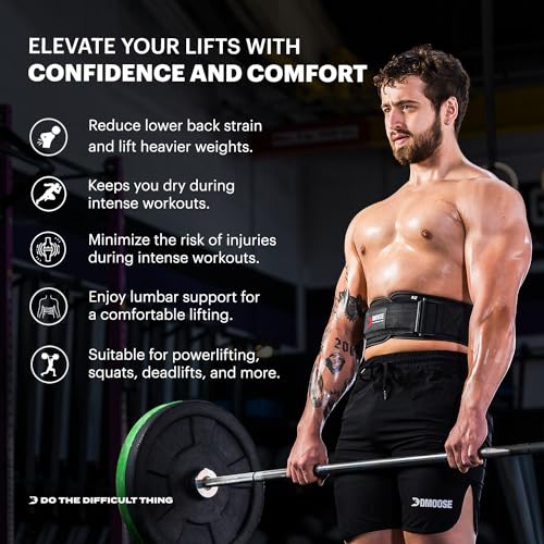 DMoose lifting belts 6 Inch Auto-Lock Breathable Weight Lifting Back Support, Workout Back Support for Lifting, Fitness, Cross Training and Powerlifting - Black Medium