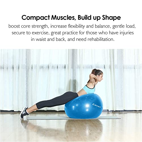 REEHUT Exercise Ball (55cm,65cm,75cm) for Fitness,Anti-Burst Yoga Ball Office Chair,Balance Ball,Extra Thick Stability Ball for Home, Gym,Physical Therapy, Pregnancy Quick Pump Included